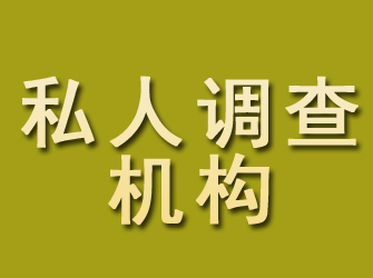 应城私人调查机构